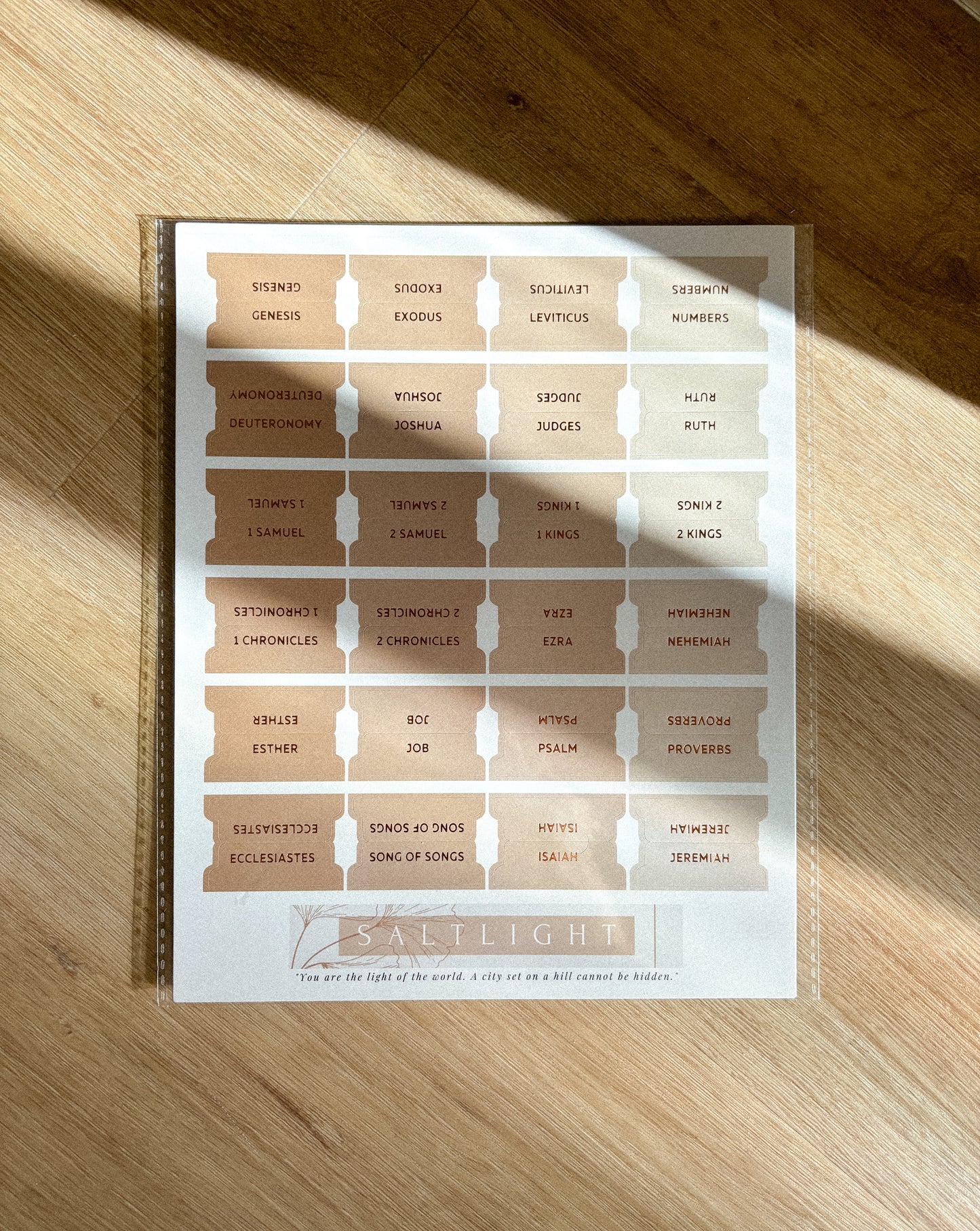 Pestañas adhesivas con revestimiento mate de color cobre y arena para la Biblia