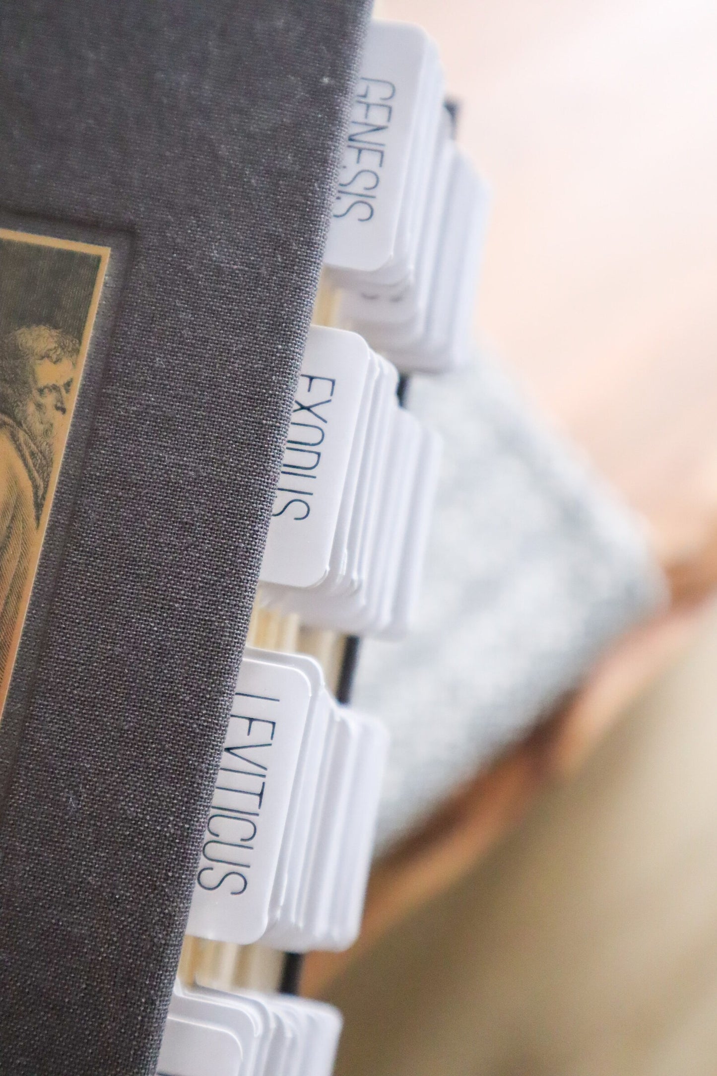 Pestañas adhesivas con revestimiento mate de color azul neutro para la Biblia