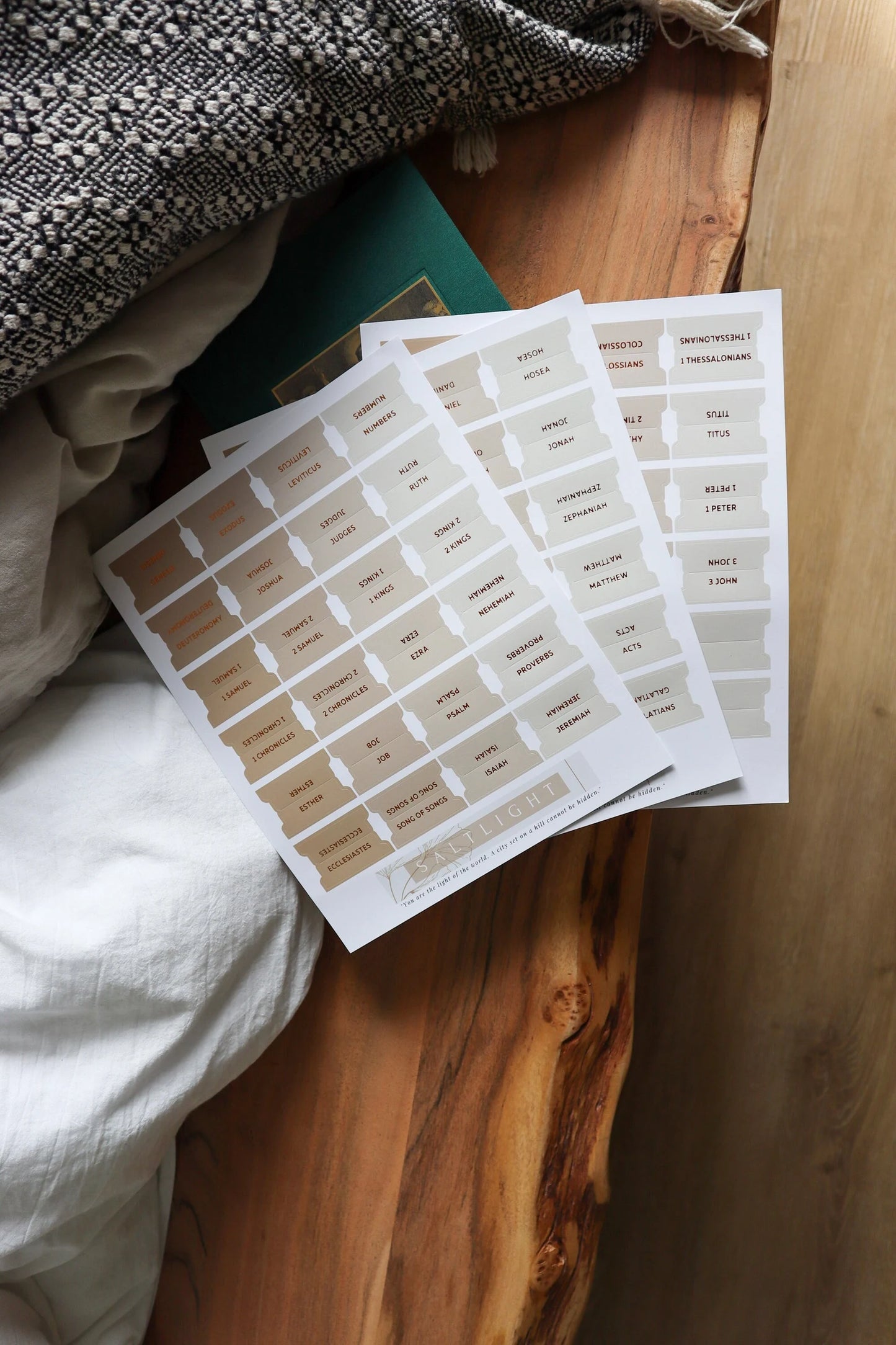 Pestañas adhesivas con revestimiento mate de color cobre y arena para la Biblia