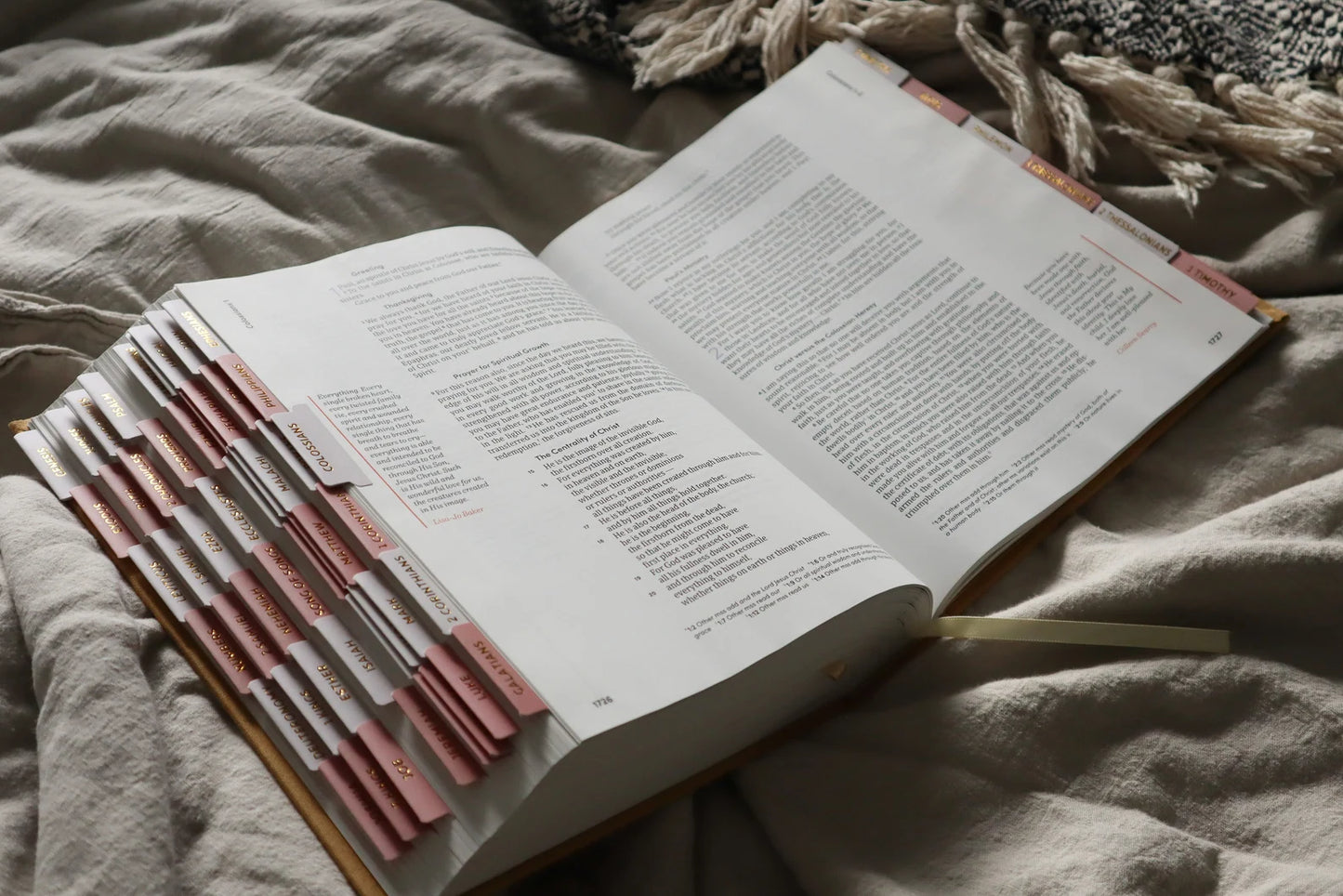 Bible Tabs Pink Gold | Matte-Coated Sticker Tabs