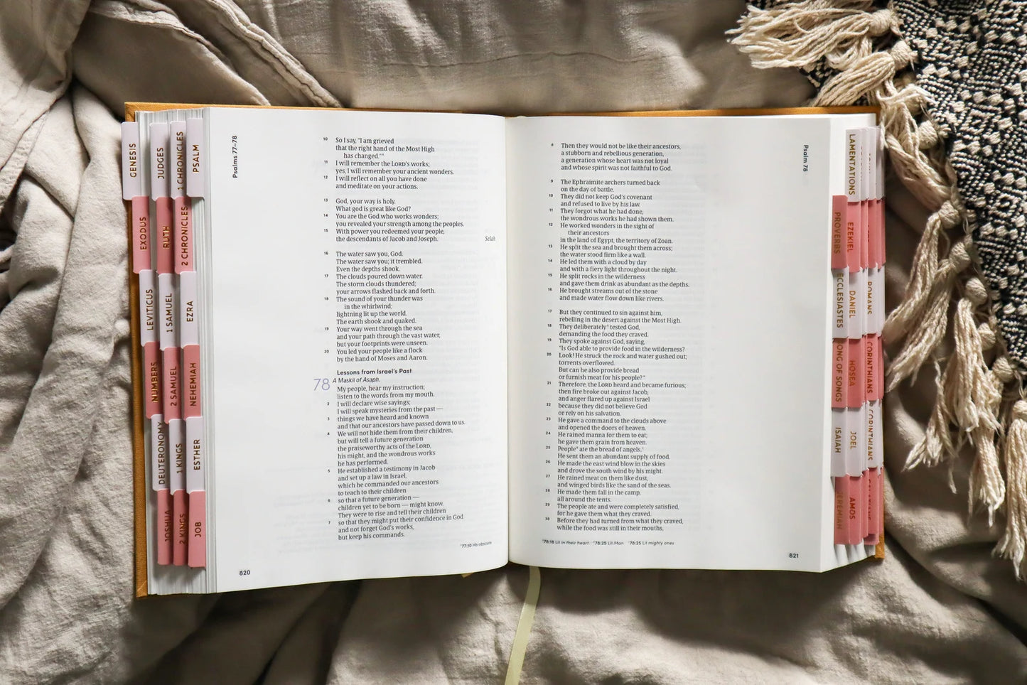 Bible Tabs Pink Gold | Matte-Coated Sticker Tabs